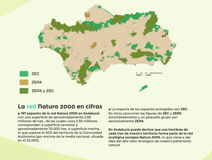 Las actividades de 'Red Natura' continan con jornadas de senderismo y buceo